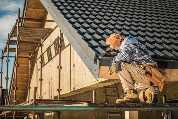 Best Metal Roofing Contractor  in Lake Alfred, FL