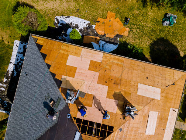 Roof Gutter Cleaning in Lake Alfred, FL